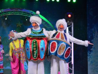 Шоу-представления &laquo;НОВЫЙ ГОД 2026&raquo;