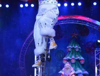 Шоу-представления &laquo;НОВЫЙ ГОД 2026&raquo;