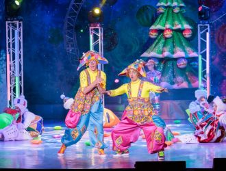 Шоу-представления &laquo;НОВЫЙ ГОД 2026&raquo;