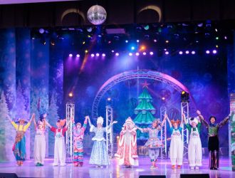 Шоу-представления &laquo;НОВЫЙ ГОД 2026&raquo;