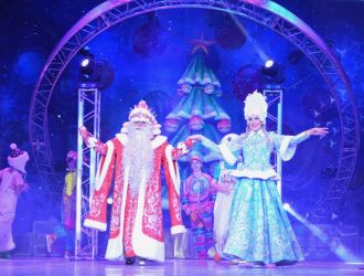 Шоу-представления &laquo;НОВЫЙ ГОД 2026&raquo;