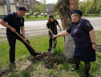 Международная акция &laquo;Сад Памяти&raquo;, приуроченная к празднованию Дня Победы