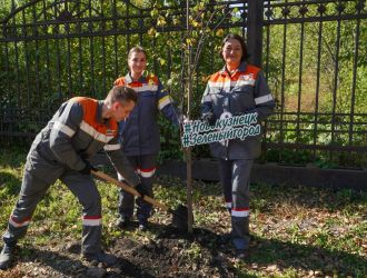Посадка лип в Заводском районе
